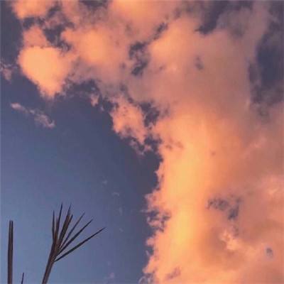 皇冠APP官方版下载安装